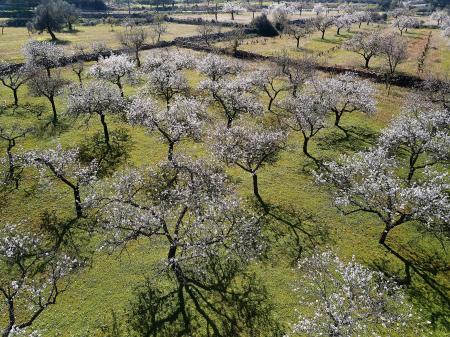 Encuentro de vecinos